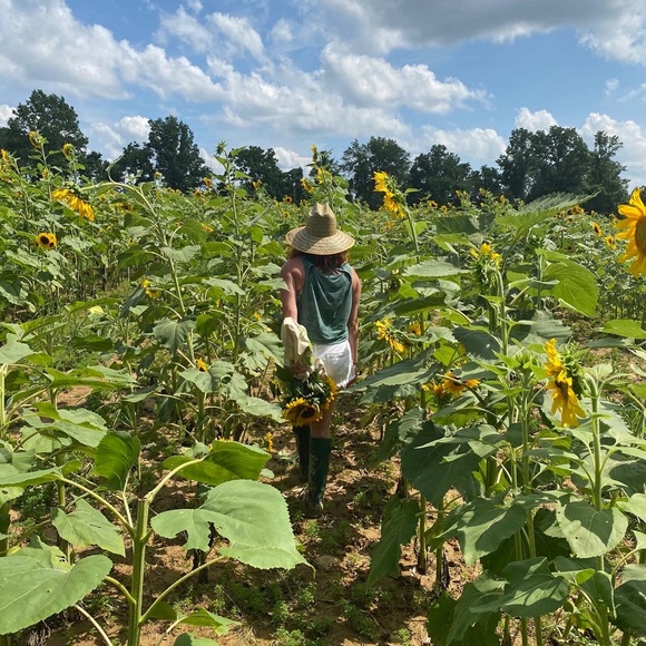 Meet your Posher, Michelle - Picture 1 of 1